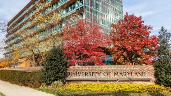 University of Maryland MIM